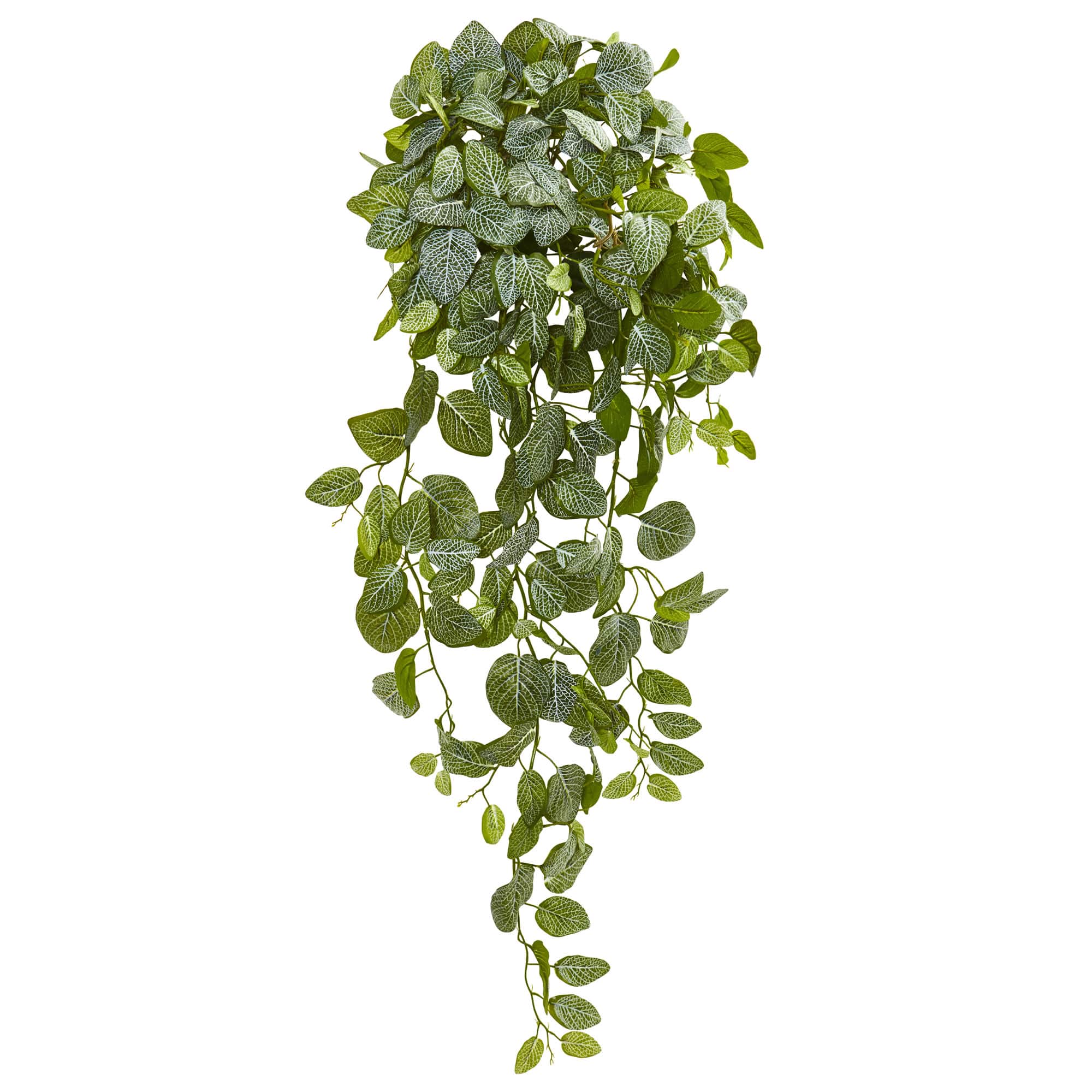 3ft. Fittonia Hanging Bush Artificial Plant, 2ct.